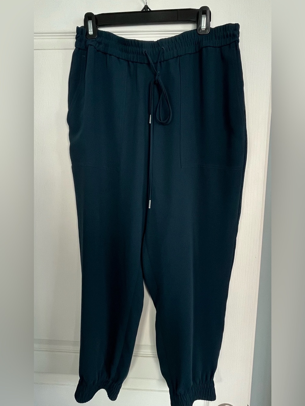 Ann Taylor Womens Teal Pull-On Dressy Jogger Pants - Size L
